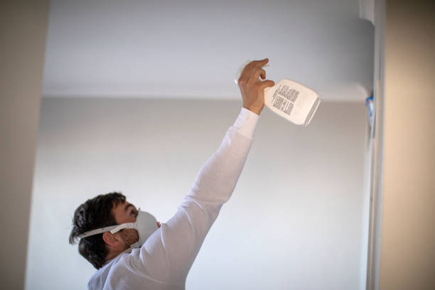 Professional Mold Removal in Immokalee, FL