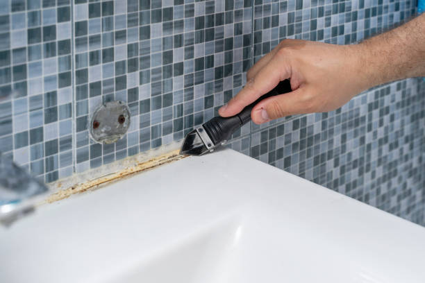 Best Mold Testing and Removal  in Immokalee, FL